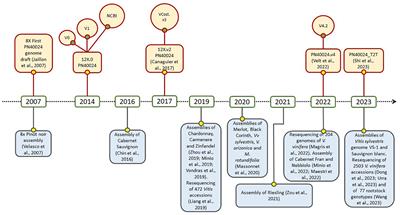 Boosting grapevine breeding for climate-smart viticulture: from genetic resources to predictive genomics